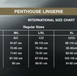 Bielizna-After sunset blue L/XL PENTHOUSE